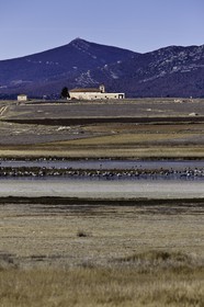 laguna-de-gallocanta_01-02-2011-8511.jpg
