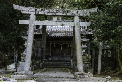 meisekiji_temple-43_shikoku_japon_27-03_2014-3215.jpg