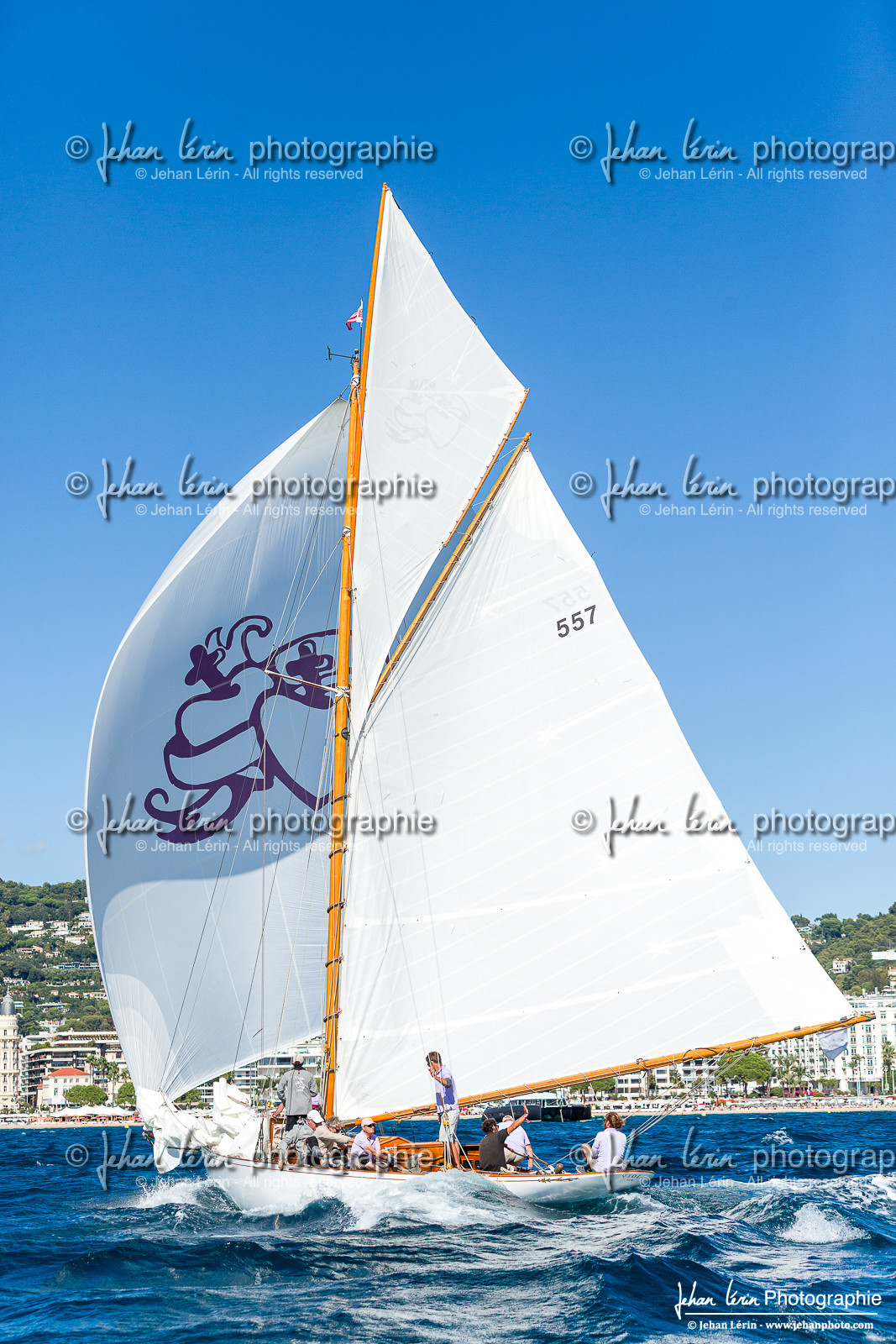 Régates Royales 2025