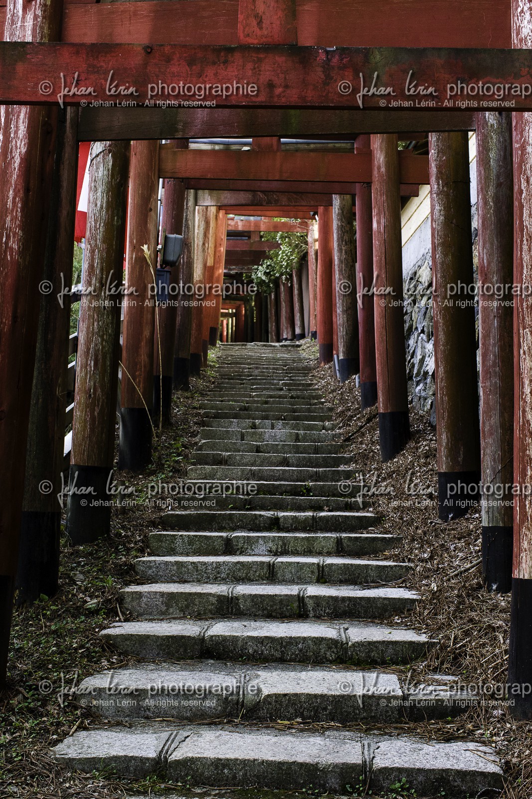 koyasan_japon_jl_1dx_17-04-2014-5375.jpg