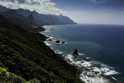 tenerife_avril_2010-0834.jpg