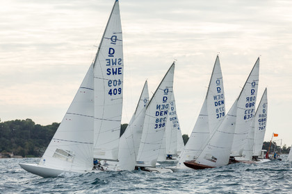Armistice Cup Dragon 2022
