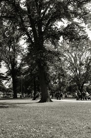 stratfort-upon-avon_uk_29-09-2012-2279.jpg