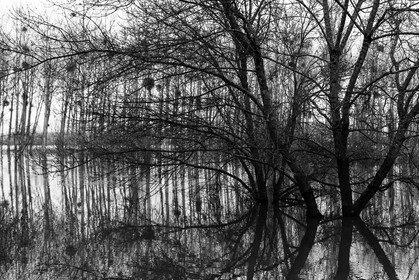la-possonniere_maine-et-loire-_-france_23-12-2012-35608.jpg