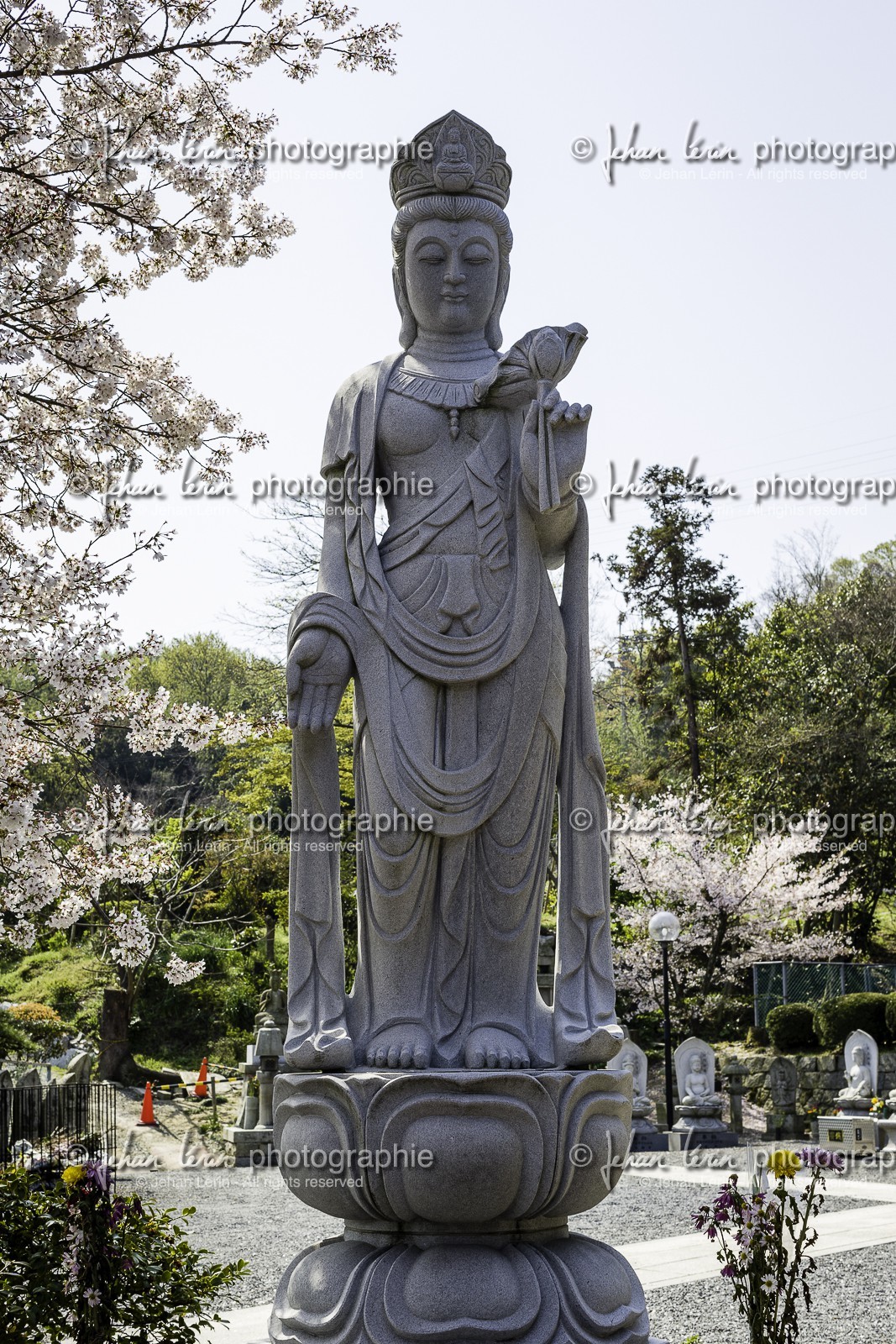 goshoji_temple-78_shikoku_japon_08-04_2014-4339.jpg