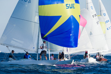 Armistice Cup Dragon 2022