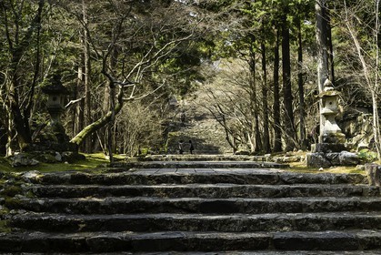 chikurinji_temple-31_shikoku_japon_17-03_2014-2708.jpg