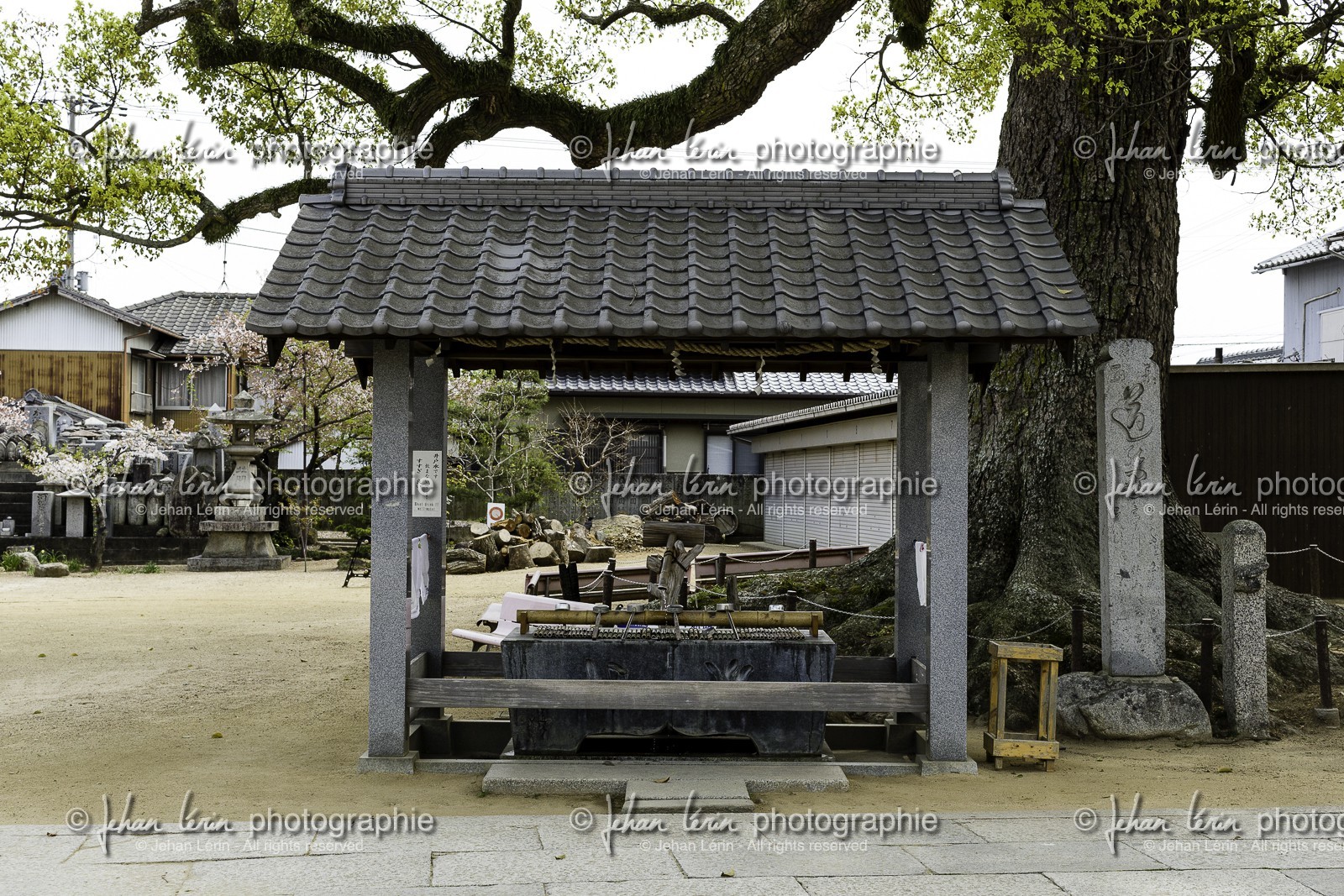 nagaoji_temple-87_shikoku_japon_11-04_2014-4628.jpg