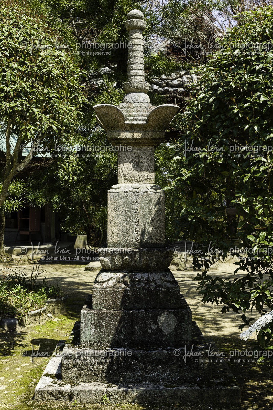 negoroji_temple-82_shikoku_japon_09-04_2014-4511.jpg