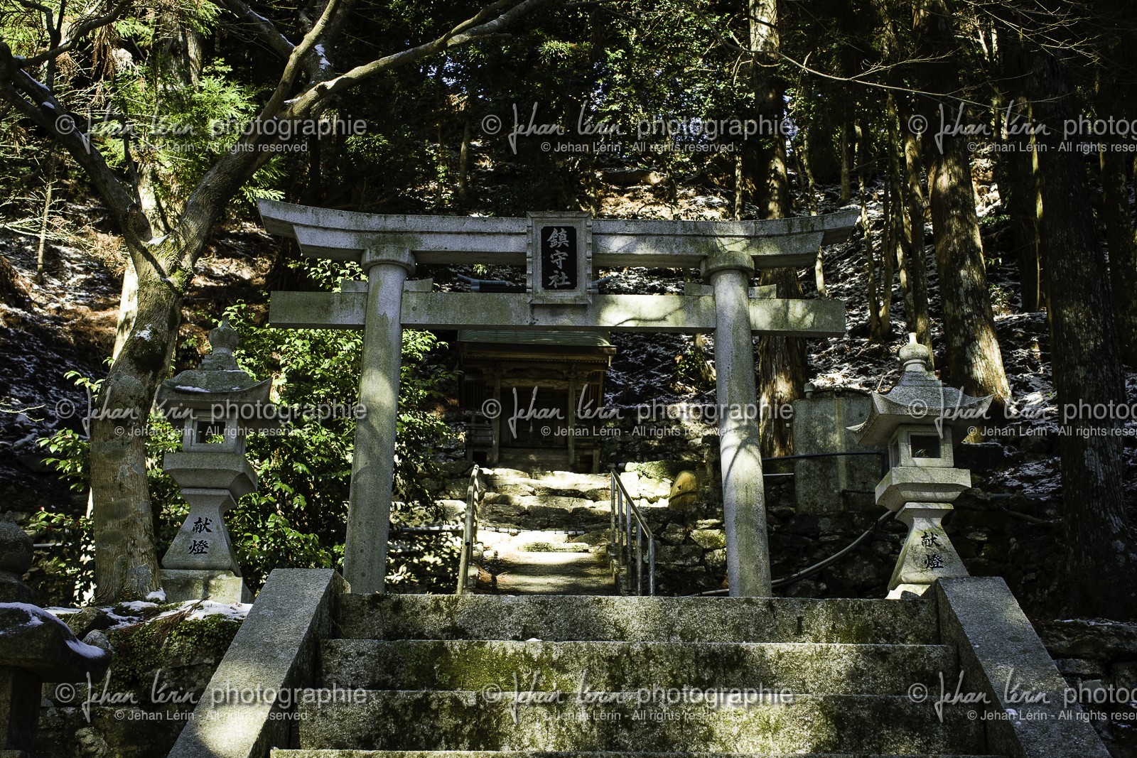 tairyuji_temple-21_shikoku_japon_11-03_2014-2332.jpg