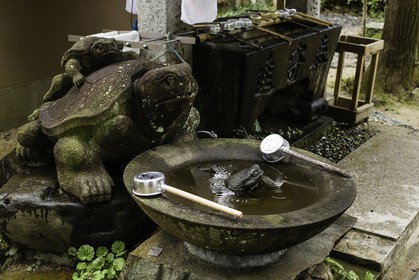 joruriji_temple-46_shikoku_japon_29-03_2014-3336.jpg