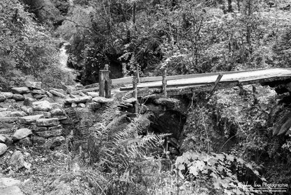 Grand Tour des Annapurnas 2004