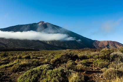 tenerife_mars-2008-0072.jpg