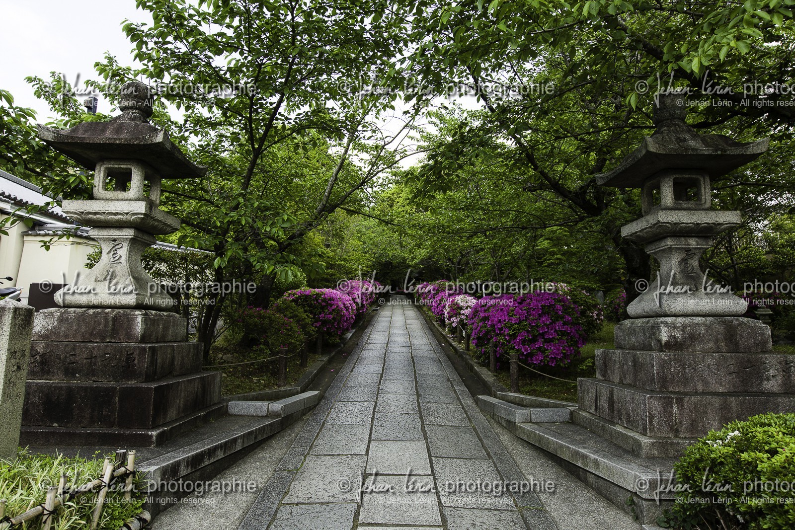 kyoto_japon_jl_5d3_09-05-2014-45.jpg