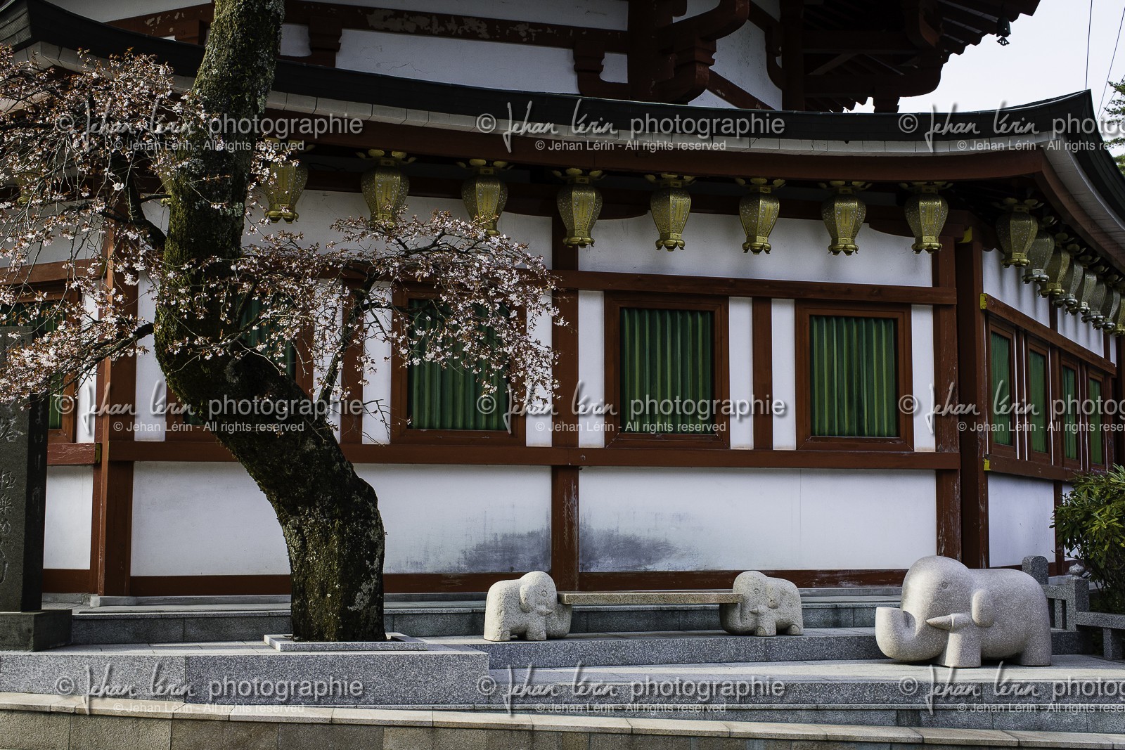 koyasan_japon_jl_1dx_17-04-2014-5384.jpg