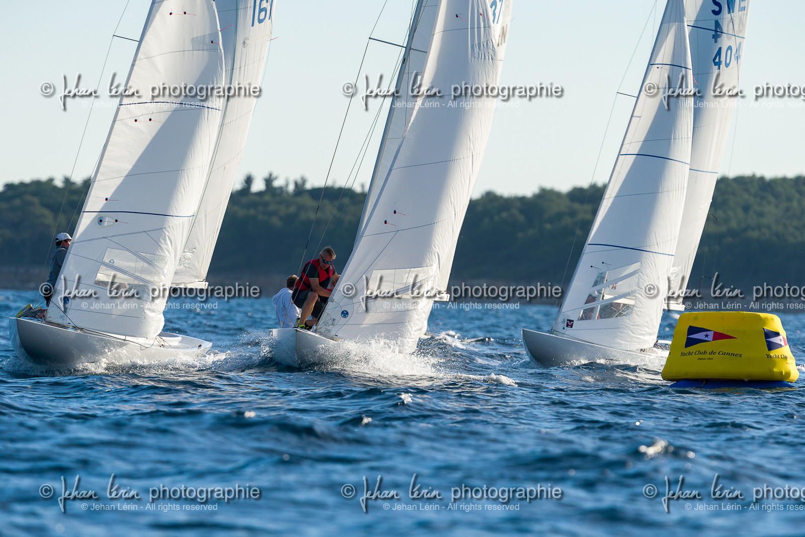 Armistice Cup Dragon 2022