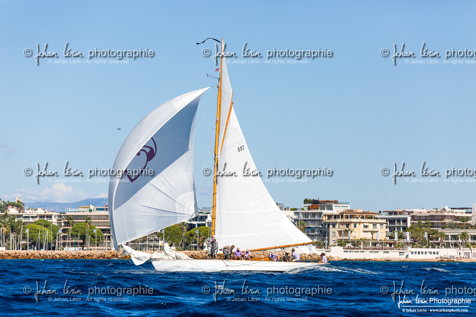 Régates Royales 2025