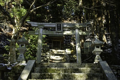 tairyuji_temple-21_shikoku_japon_11-03_2014-2332.jpg