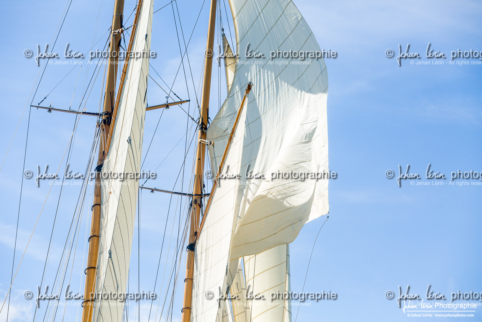 Les Dames de St Tropez