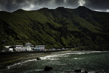 tenerife_avril_2010-0830.jpg