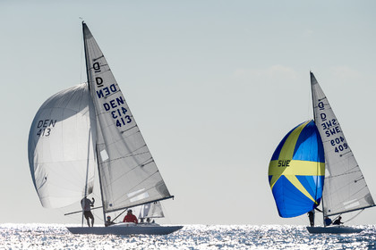 Coupe de l'Amitié Dragon 2023