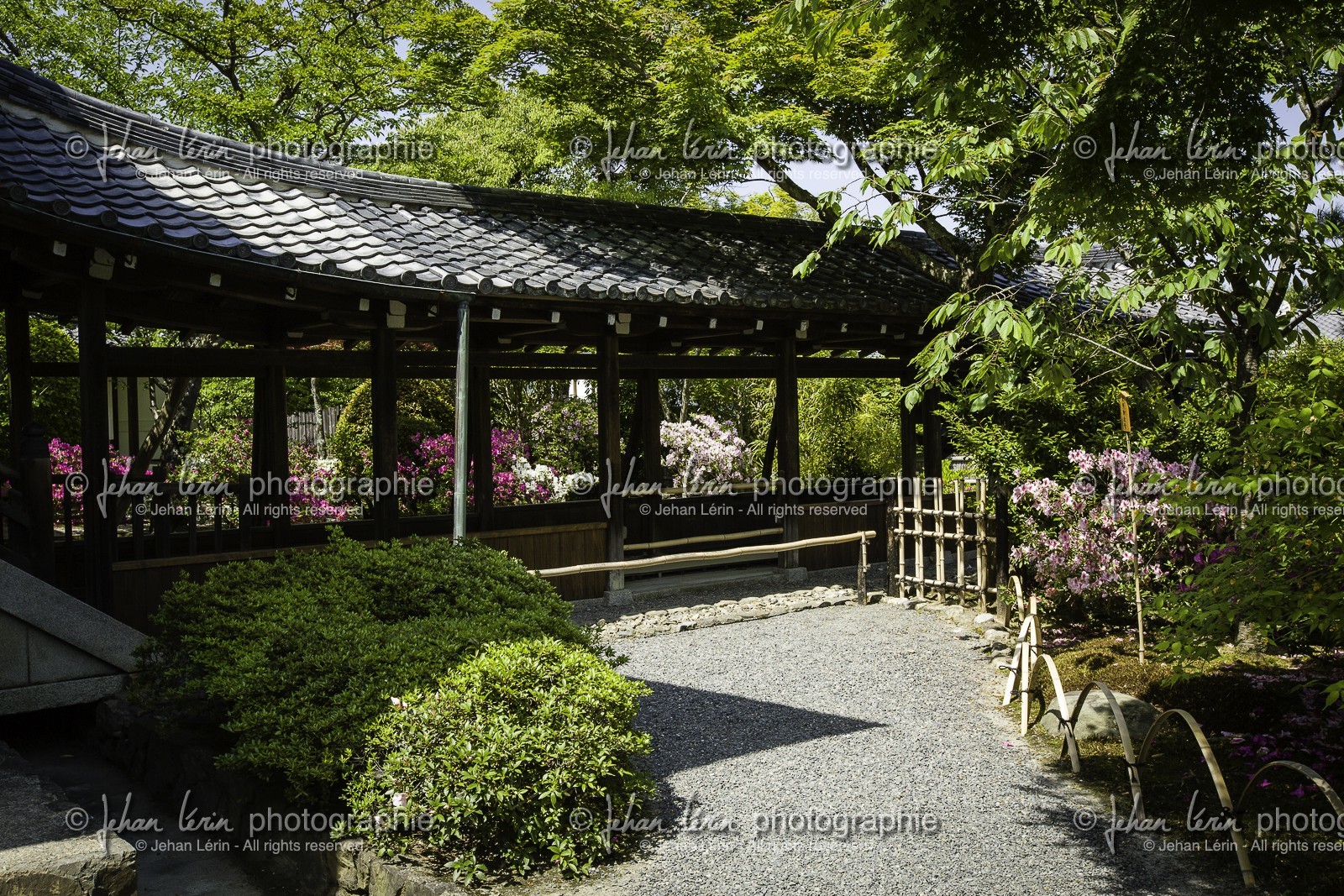 tenryu-ji_arashiyama_kyoto_japon_jl_5d3_10-05-2014-1687.jpg