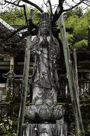 kiyotakiji_temple-35_shikoku_japon_18-03_2014-2811.jpg