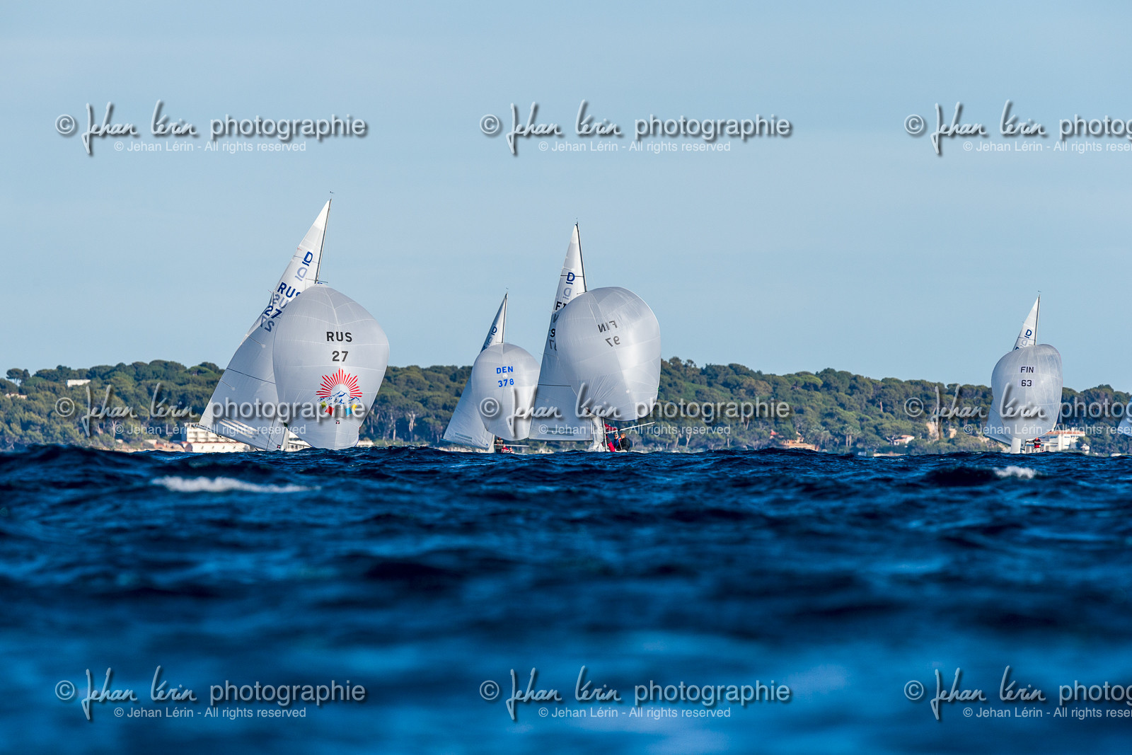 Armistice Cup Dragon