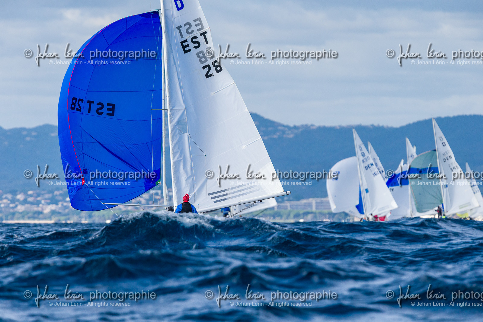 Armistice Cup Dragon 2022