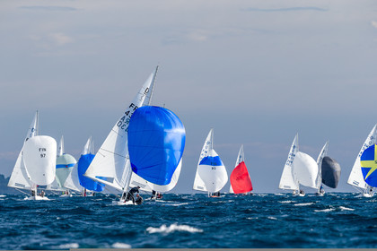 Armistice Cup Dragon 2022