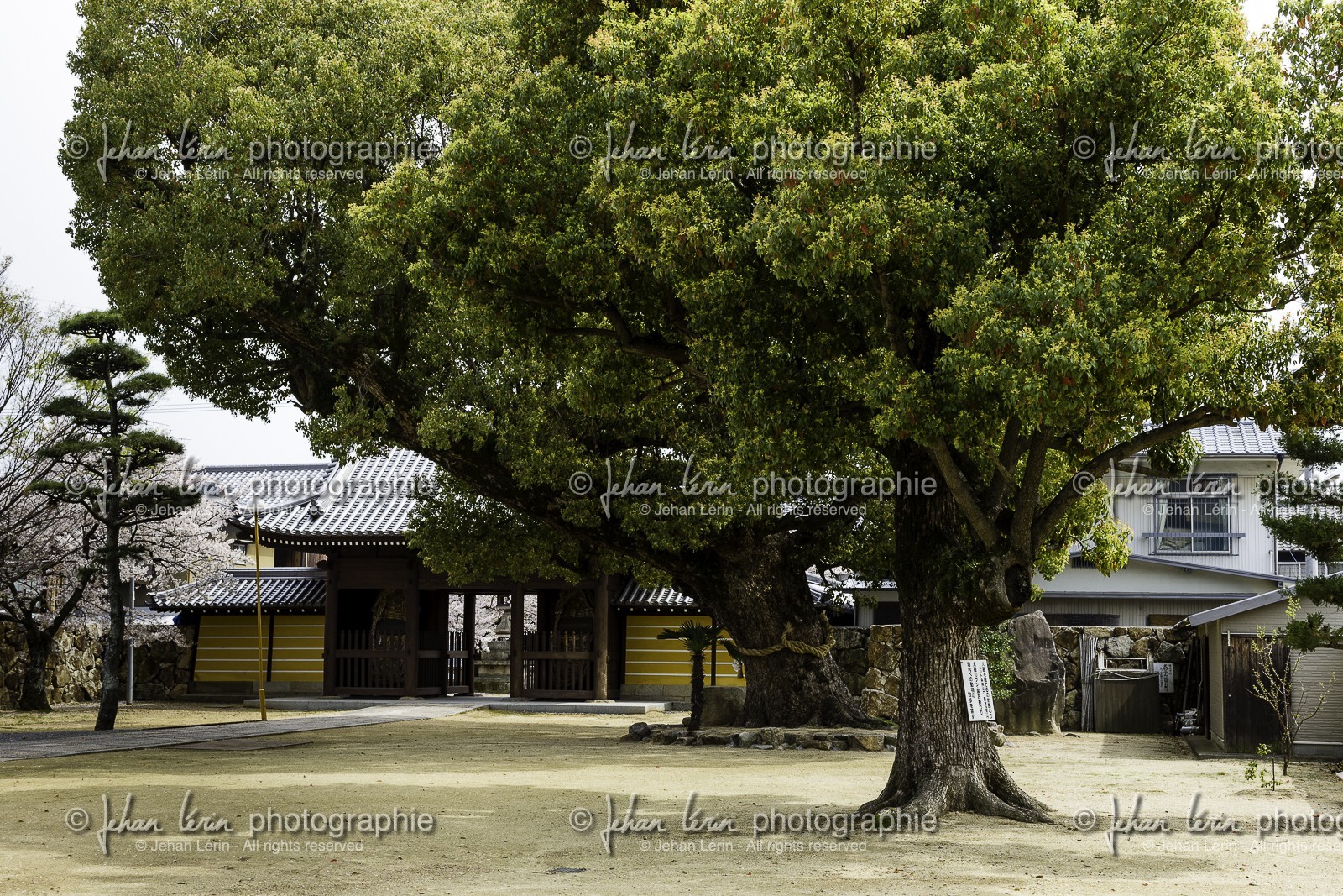konzoji_temple-76_shikoku_japon_07-04_2014-4234.jpg