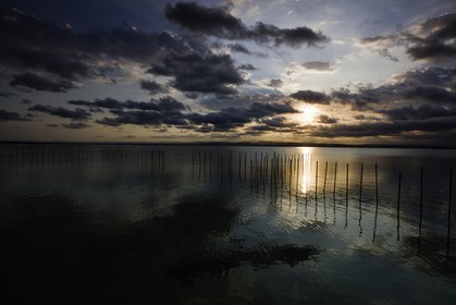 l-albufera_valencia_24-09-2011-0003.jpg