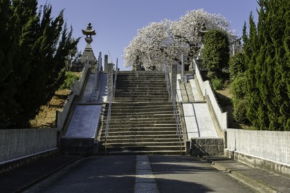 kokubunji_temple-59_shikoku_japon_01-04_2014-3604.jpg