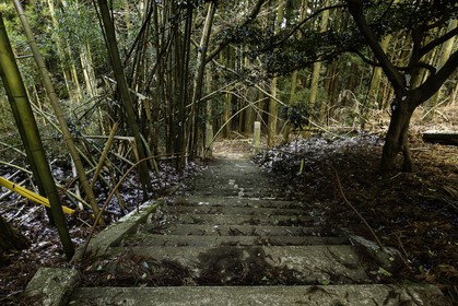 en-route-vers-le-temple-12_shikoku_japon_07-03_2014-0371.jpg