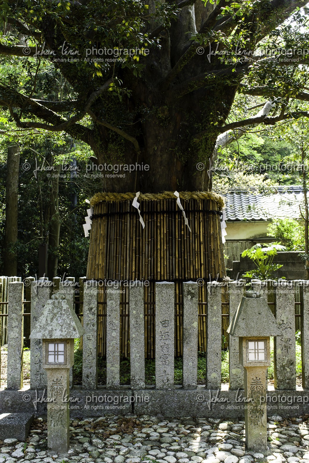 kumano-hayama-taisha_kumano-kodo-pilgrimage_shingu_japon_26-04-2014-5777.jpg