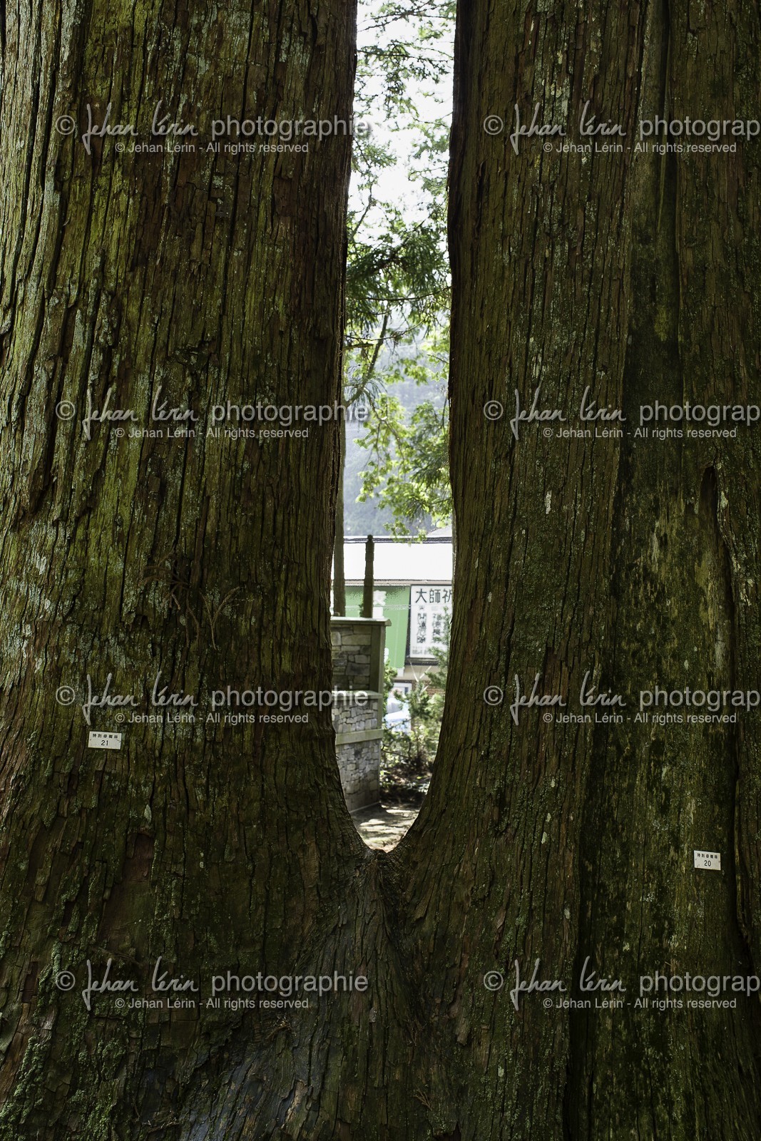 koyasan_japon_jl_1dx_17-04-2014-5222.jpg