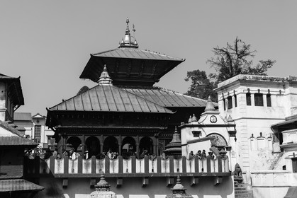 nepal_kathmandu_pashupatinath_10-02-2013-36304.jpg