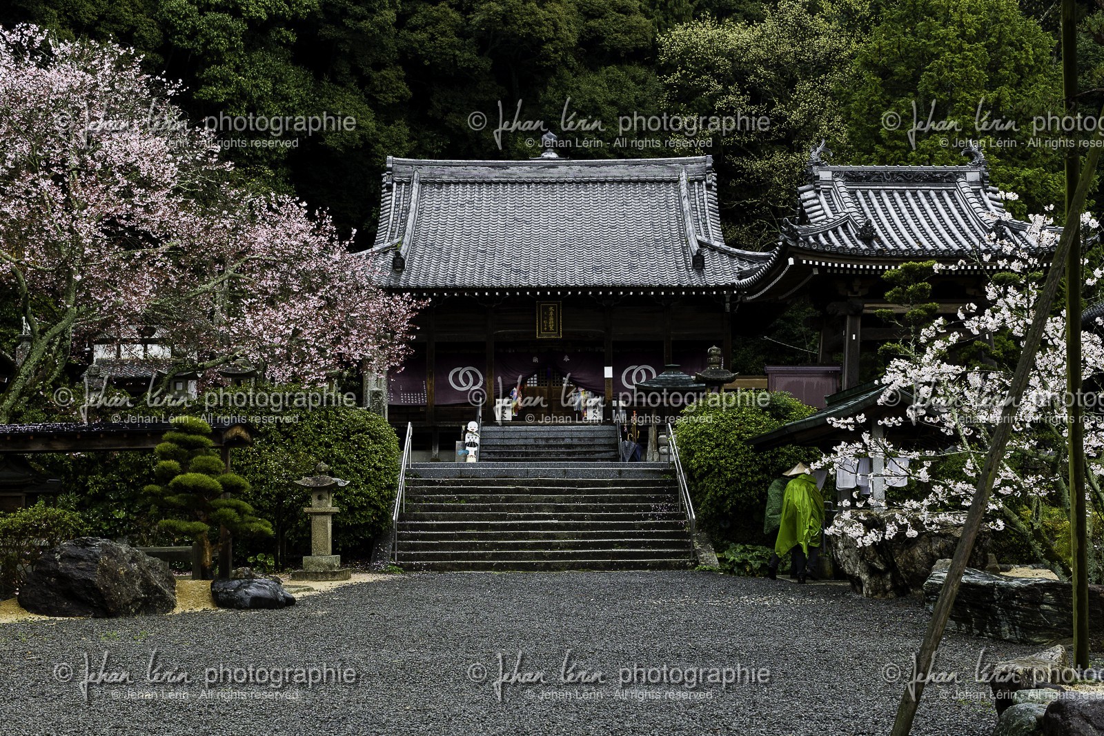 hantaji_temple-50_shikoku_japon_30-03_2014-3439.jpg