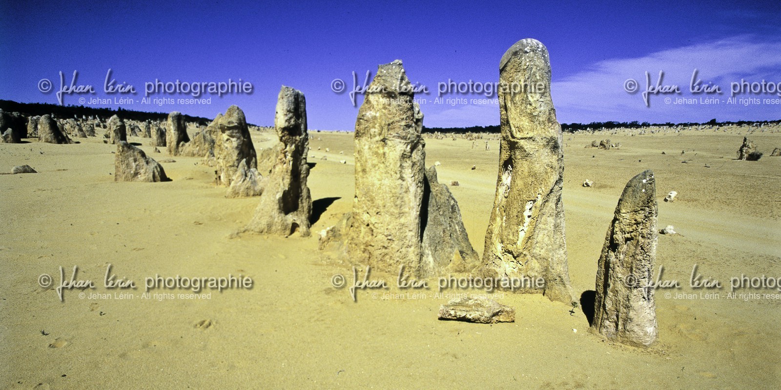 pinacles_nambung-national-park_70.jpg