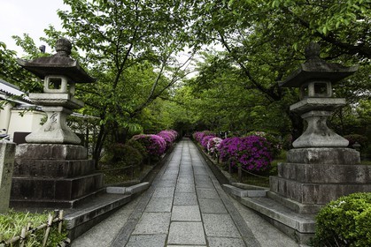 kyoto_japon_jl_5d3_09-05-2014-45.jpg