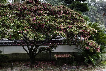 gokurakuji_temple-2_shikoku_japon_05-03_2014-1718.jpg