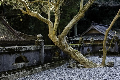 meisekiji_temple-43_shikoku_japon_27-03_2014-3250.jpg