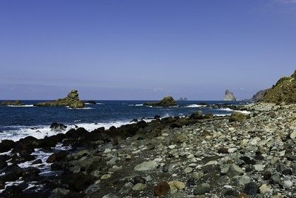 tenerife_avril_2010-0826.jpg