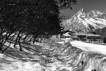 nepal_rolwaling-and-khumbu-area_deboche_22-02-2013-37147.jpg