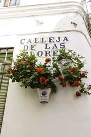 cordoba_esp_23-04-2012-1539.jpg