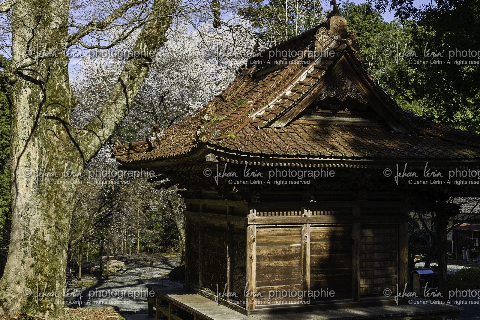 meisekiji_temple-43_shikoku_japon_27-03_2014-3228.jpg