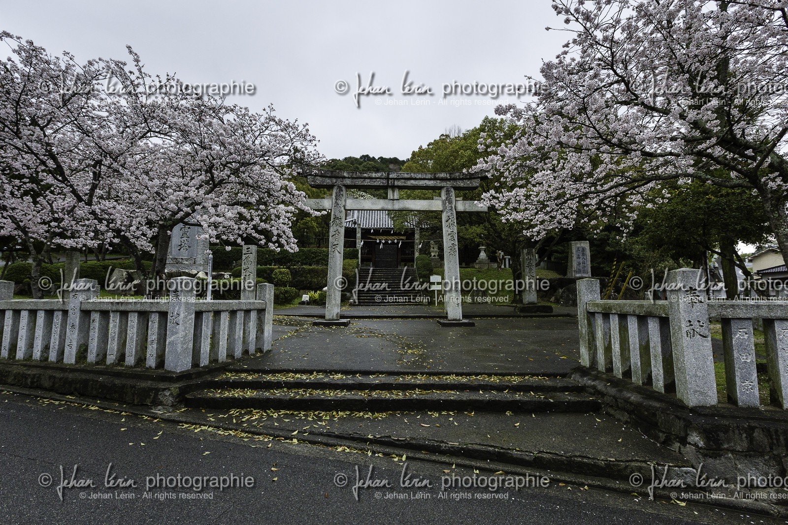 en-route-vers_temple-51_shikoku_japon_30-03_2014-0781.jpg