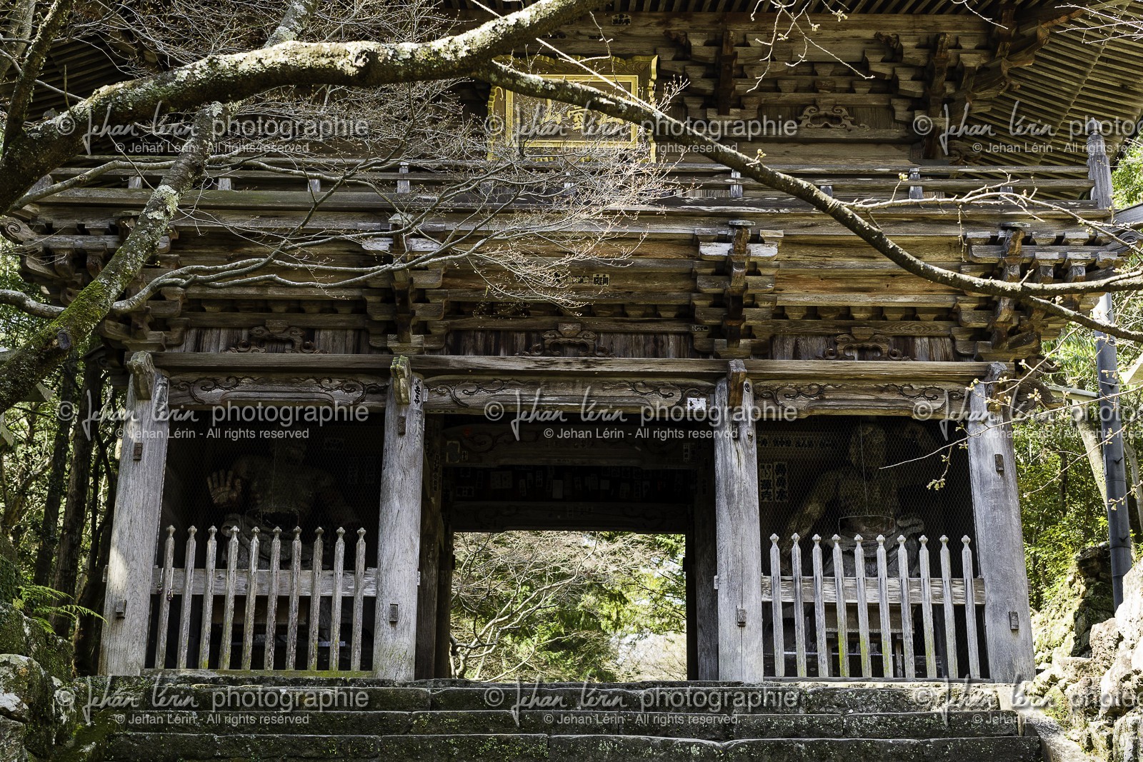 chikurinji_temple-31_shikoku_japon_17-03_2014-2718.jpg
