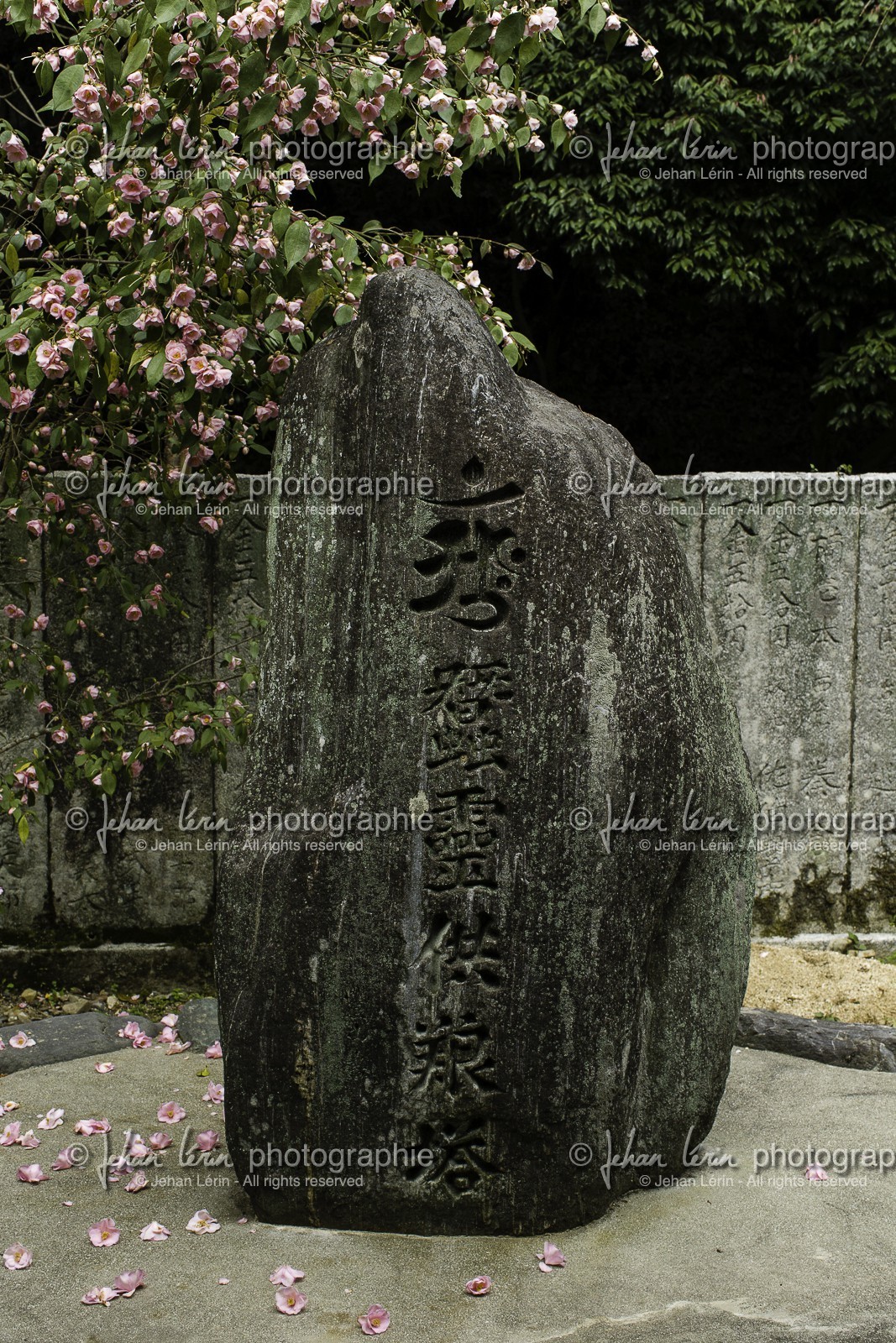 maegamiji_temple-64_shikoku_japon_02-04_2014-3750.jpg
