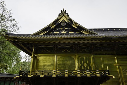 ueno_tokyo_japon_jl_5d3_05-05-2014-1593.jpg